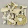 Albino Penis Envy Mushrooms - Image 2