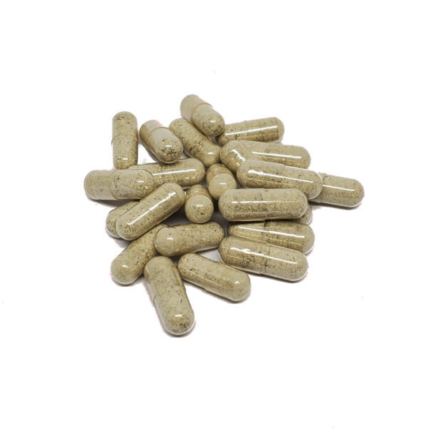 Buy Magic mushroom microdose for sale Oregon